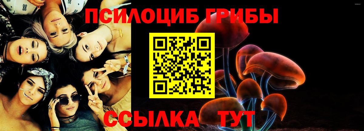 где продают наркотики  Псилоцибиновые грибы MAGIC MUSHROOMS  Вход с VPN  Белебей  Галлюциногенные грибы прущие грибы 